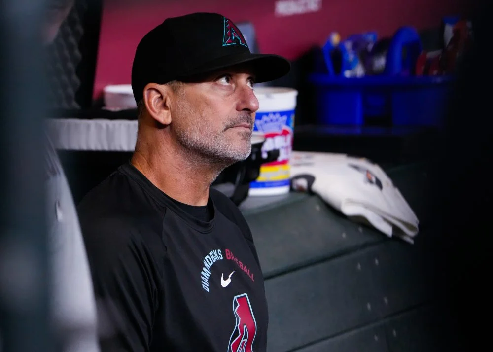 Diamondbacks Performance Review